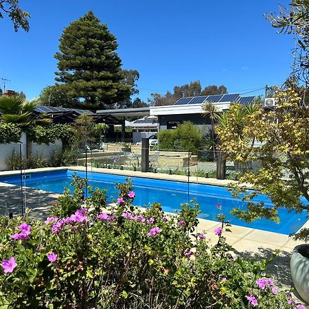 Happy Wanderer Motel Bendigo Children Not Permitted Over 18S Only Экстерьер фото
