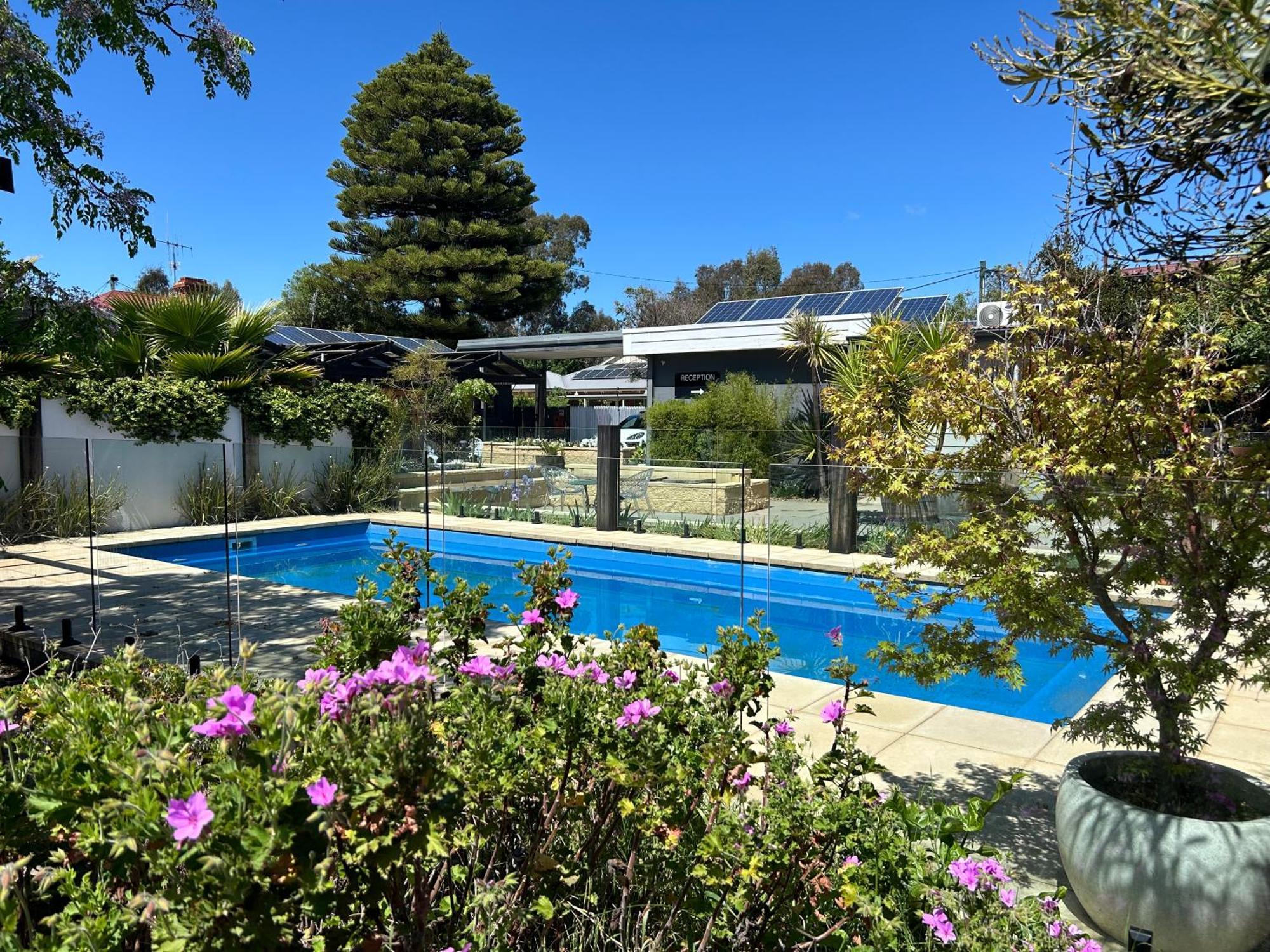 Happy Wanderer Motel Bendigo Children Not Permitted Over 18S Only Экстерьер фото